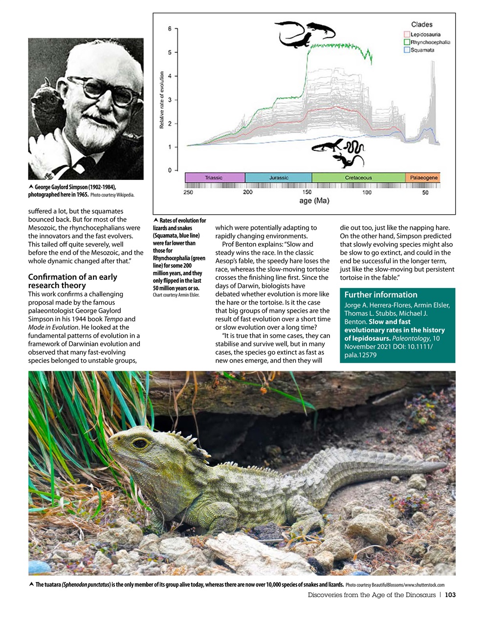 Practical Reptile Keeping Preview Pages