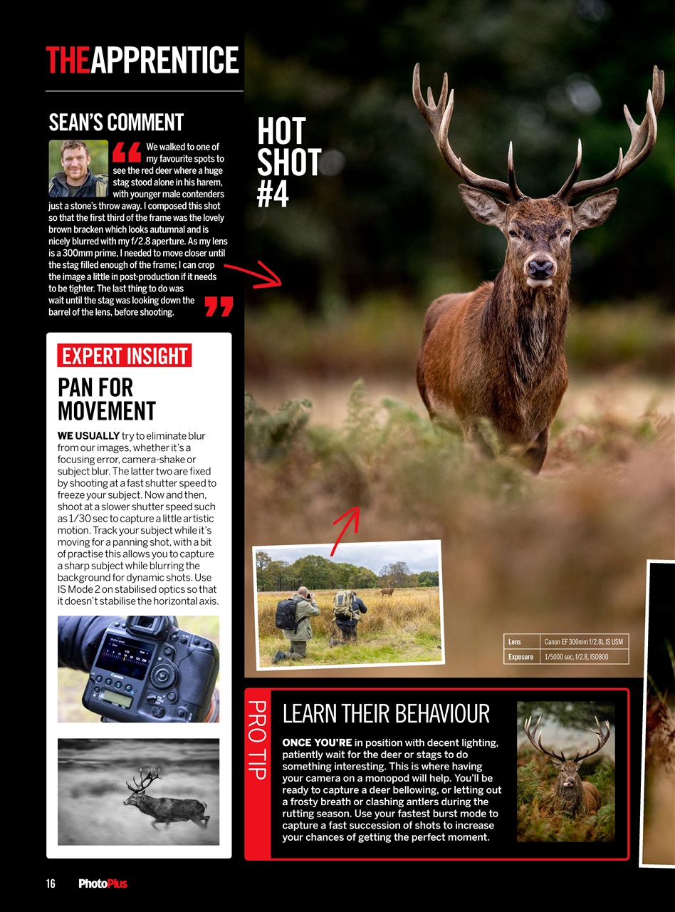 PhotoPlus Preview Pages