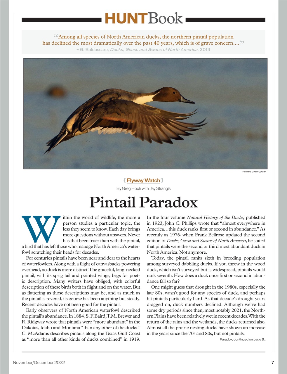 American Waterfowler Preview Pages
