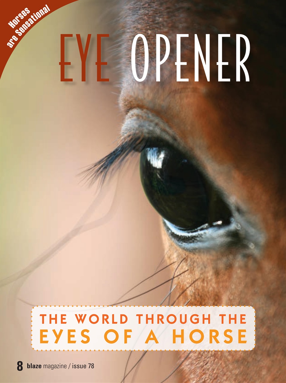 Blaze Magazine For Horse Crazy Kids Preview Pages