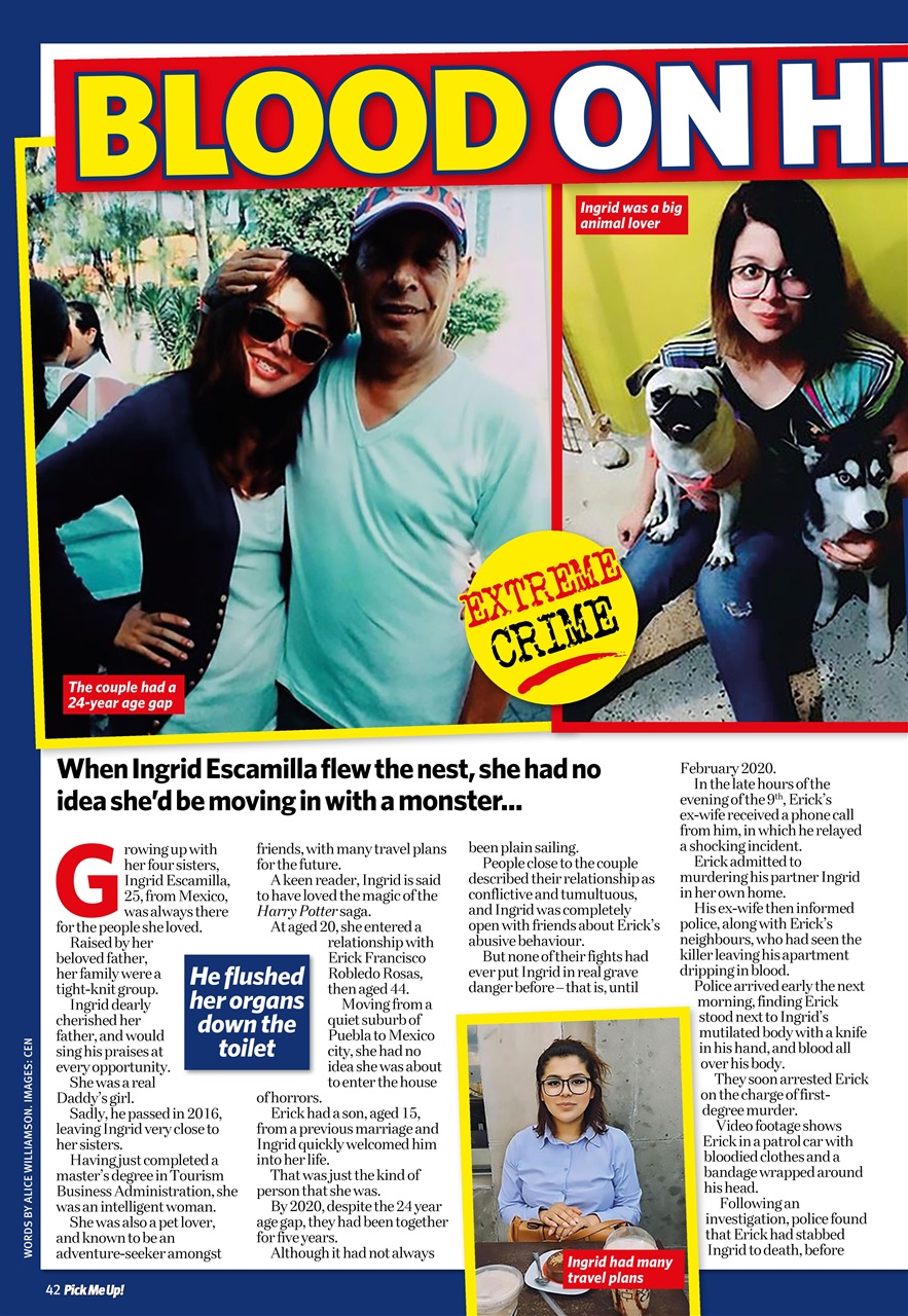 Pick Me Up Preview Pages