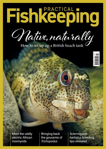 Practical Fishkeeping issue 