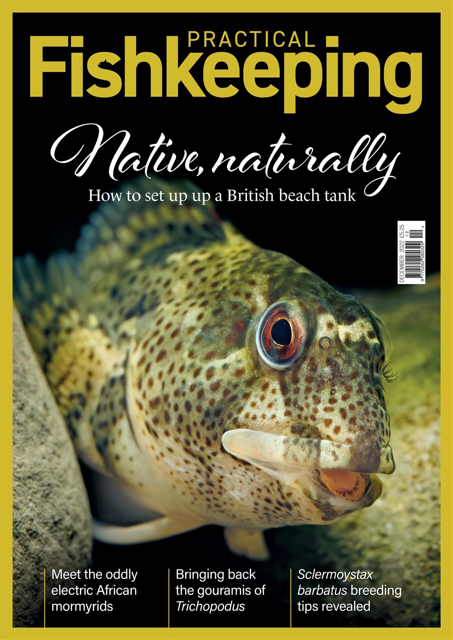 Practical Fishkeeping Preview Pages