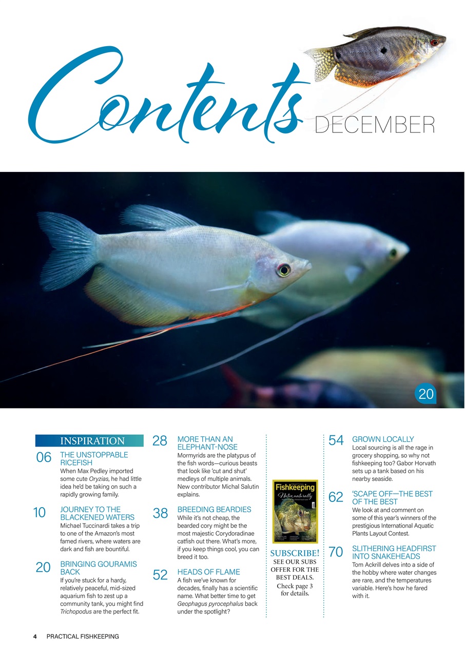 Practical Fishkeeping Preview Pages