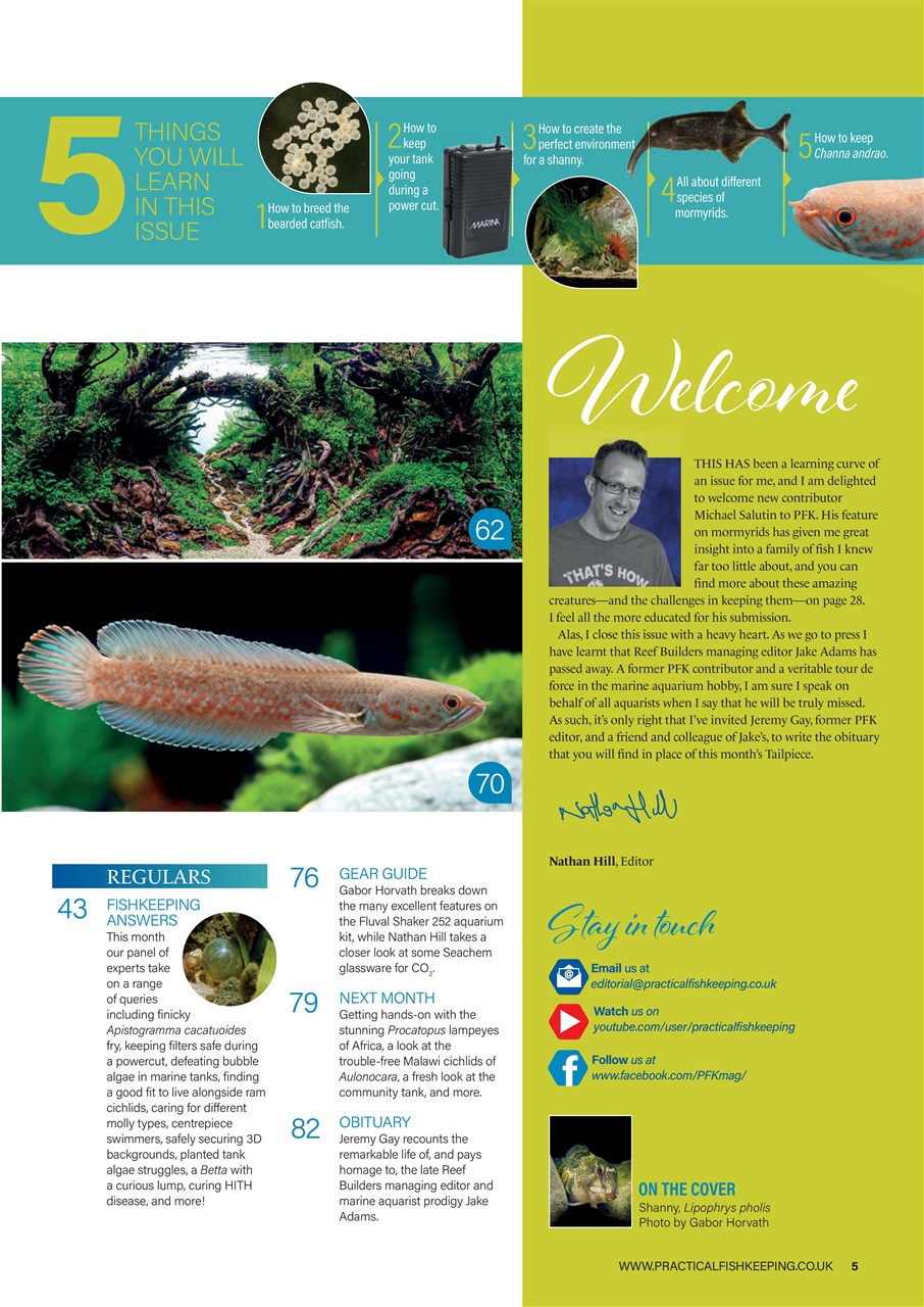 Practical Fishkeeping Preview Pages