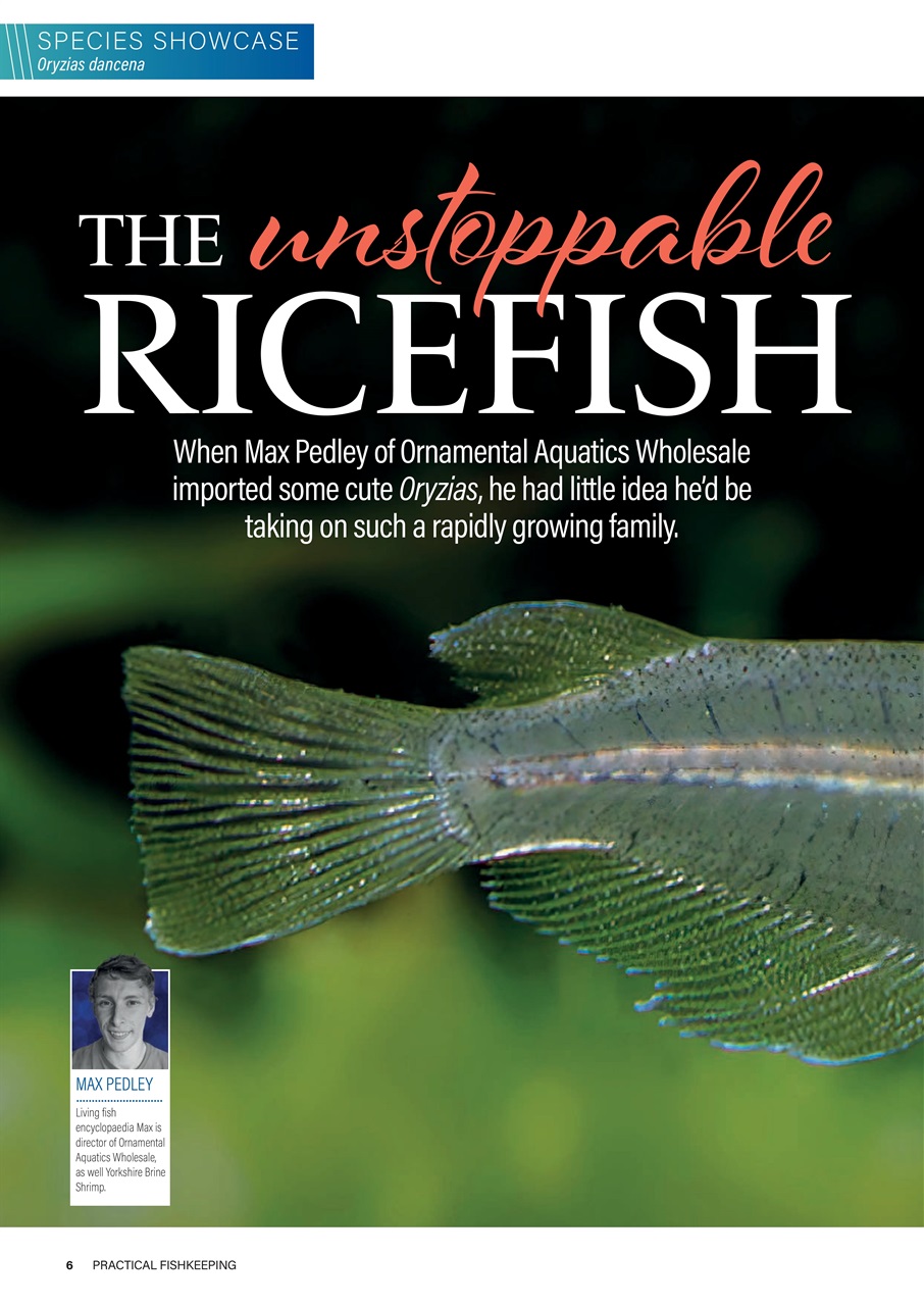 Practical Fishkeeping Preview Pages