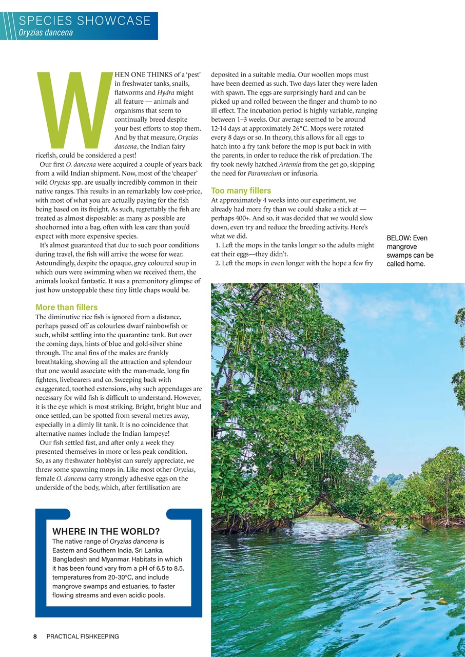 Practical Fishkeeping Preview Pages