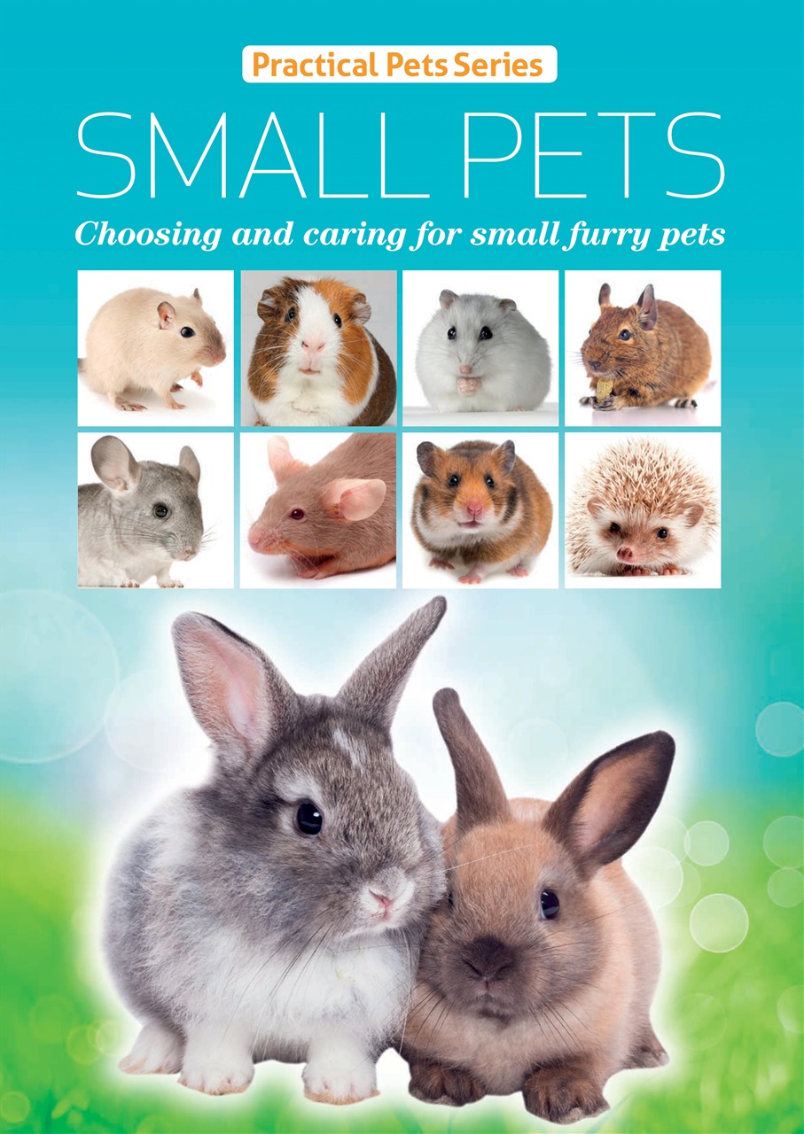 Practical Reptile Keeping Preview Pages