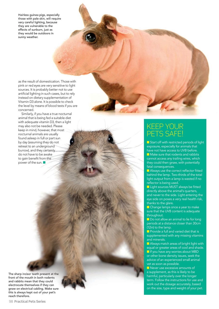 Practical Reptile Keeping Preview Pages