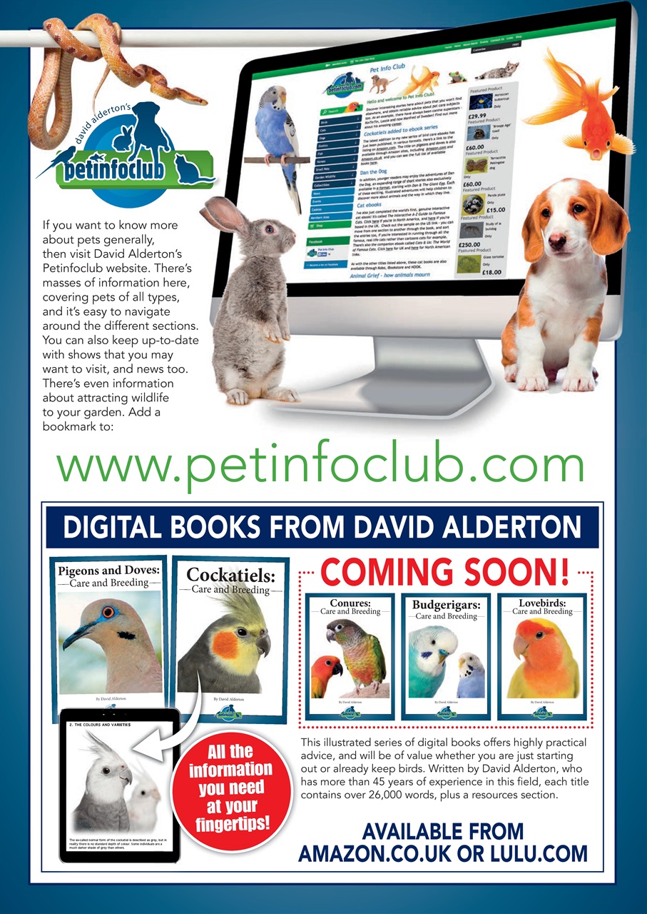 Practical Reptile Keeping Preview Pages