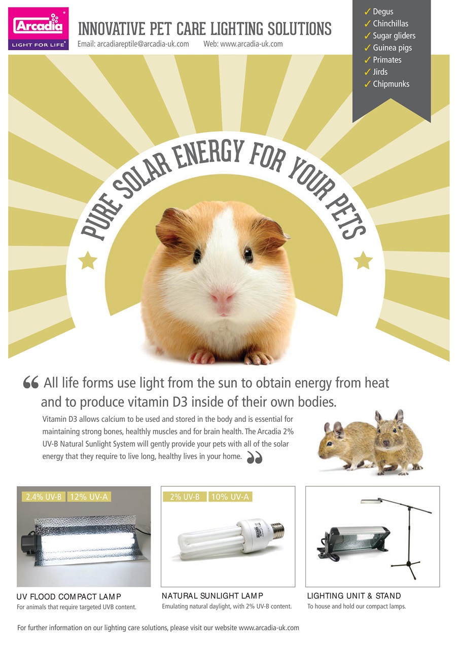 Practical Reptile Keeping Preview Pages