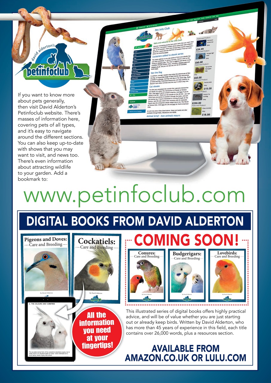 Practical Reptile Keeping Preview Pages