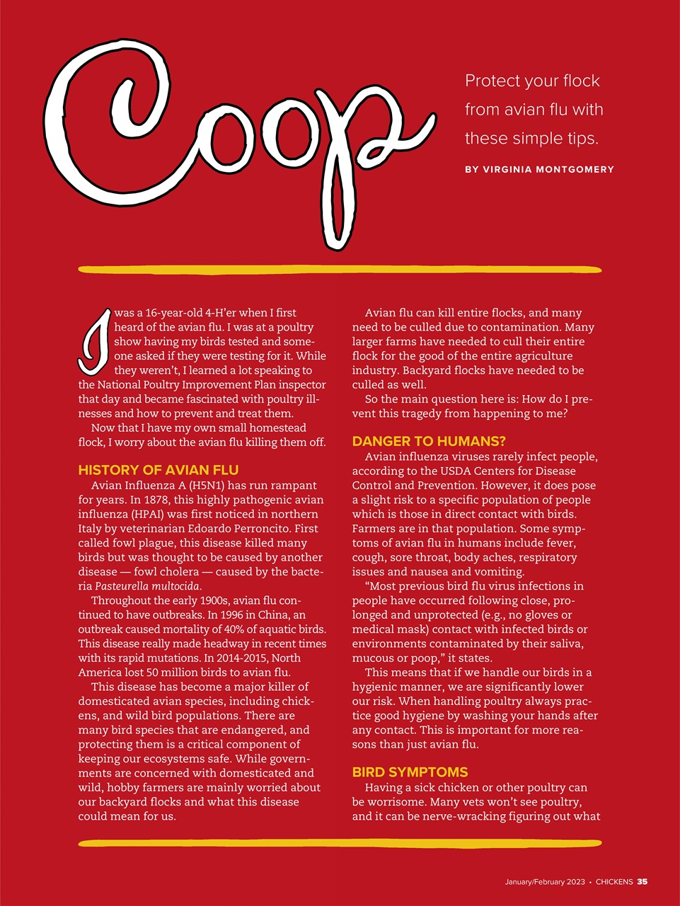 Chickens Magazine Preview Pages