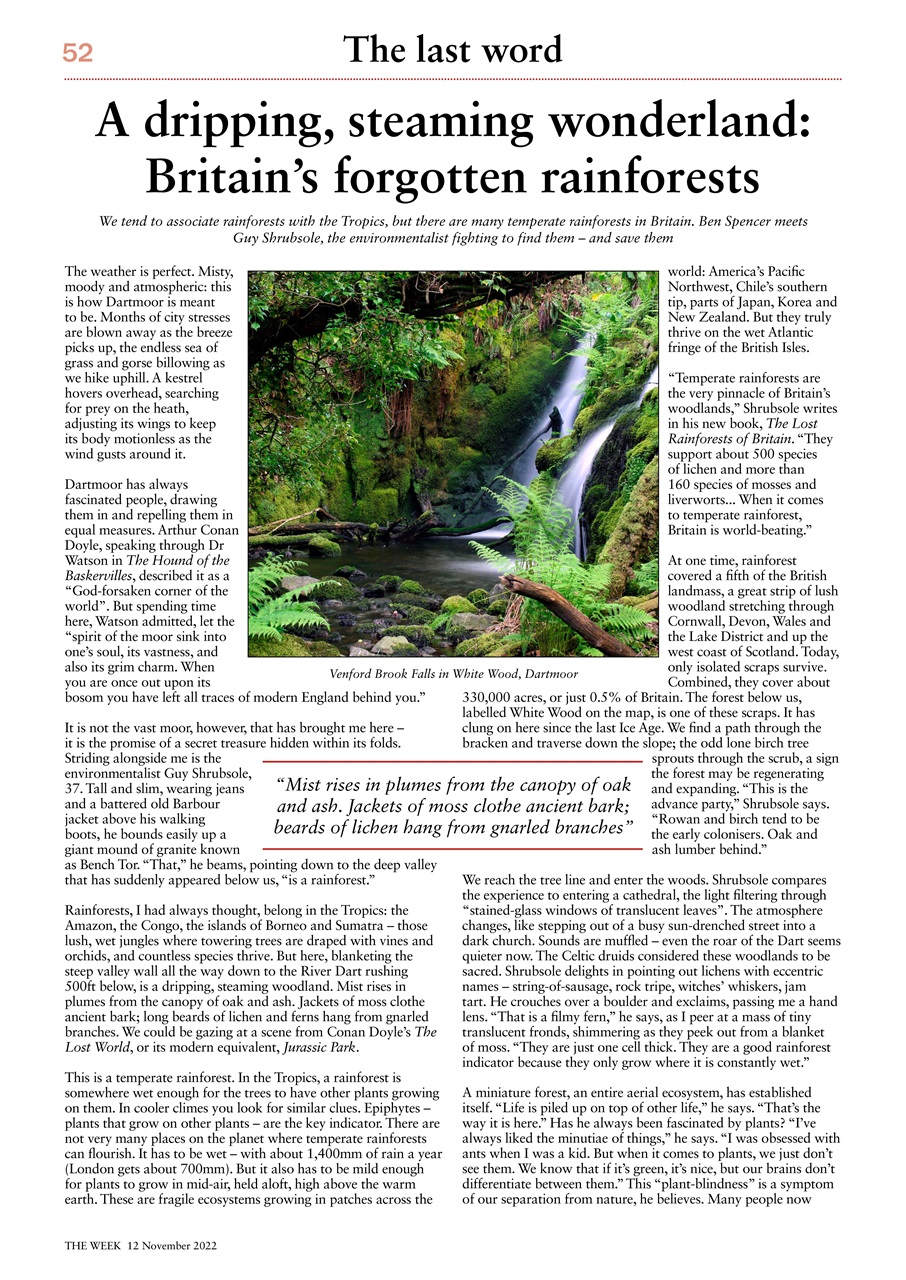 The Week Preview Pages