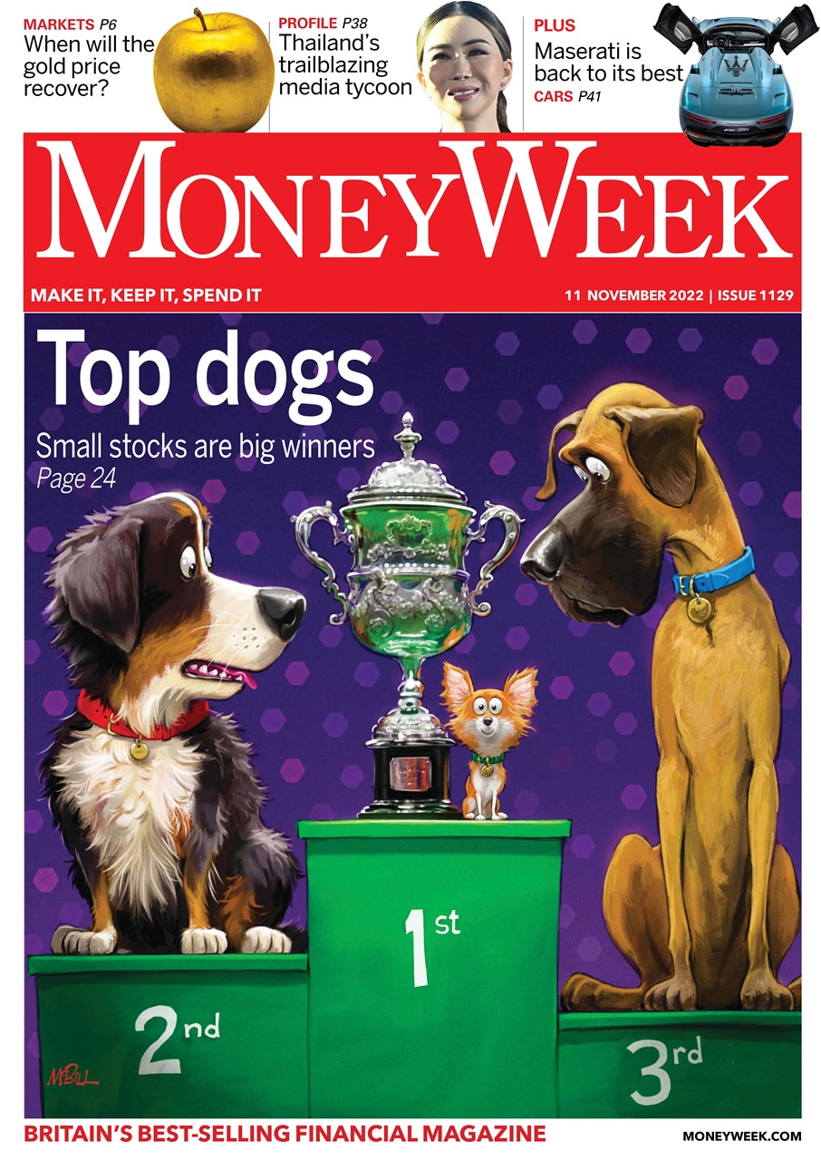 MoneyWeek Preview Pages