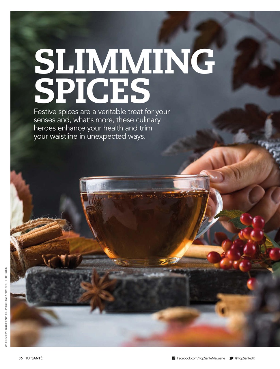 Top Sante Preview Pages