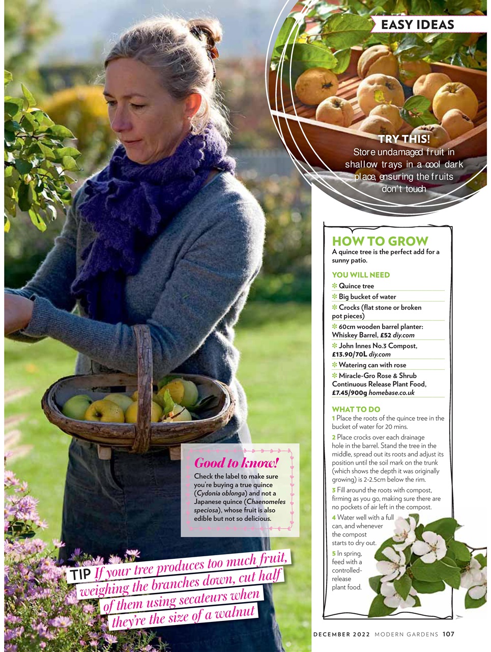 Modern Gardens Preview Pages