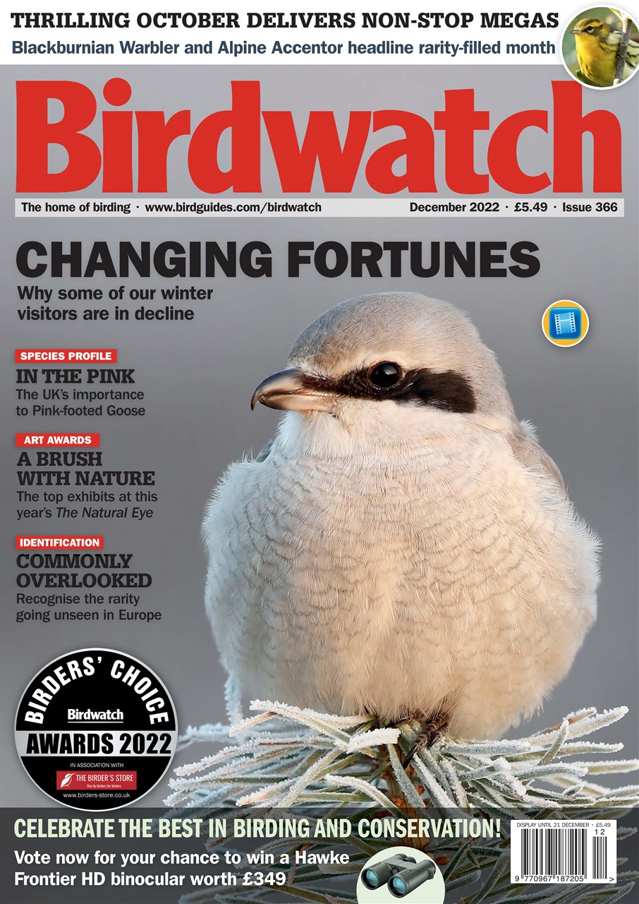 Birdwatch Magazine Preview Pages