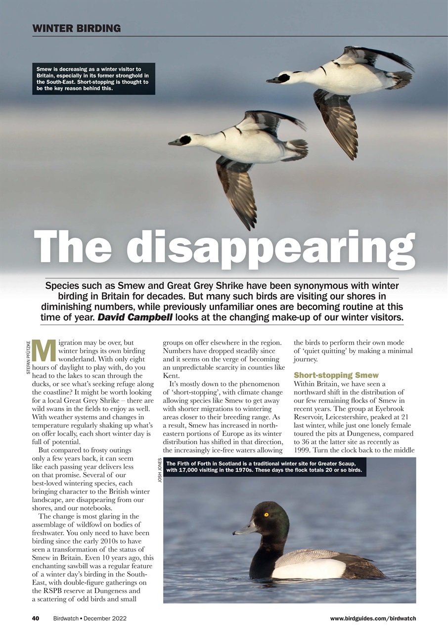 Birdwatch Magazine Preview Pages