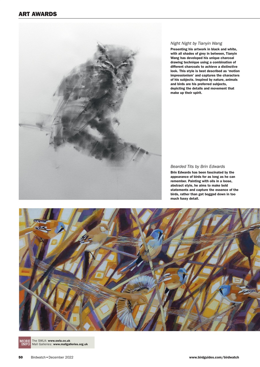 Birdwatch Magazine Preview Pages