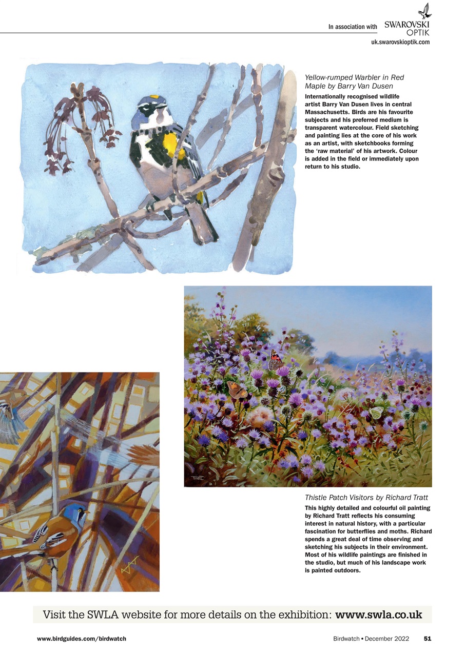 Birdwatch Magazine Preview Pages