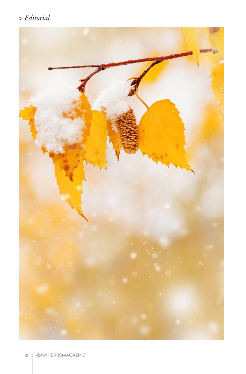 My Herbs Magazine Preview Pages