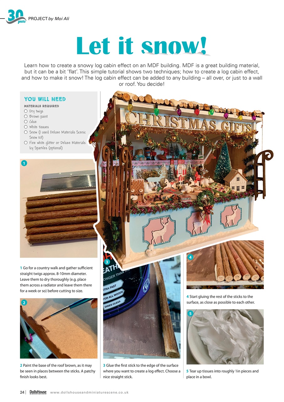Dolls House and Miniature Scene Preview Pages