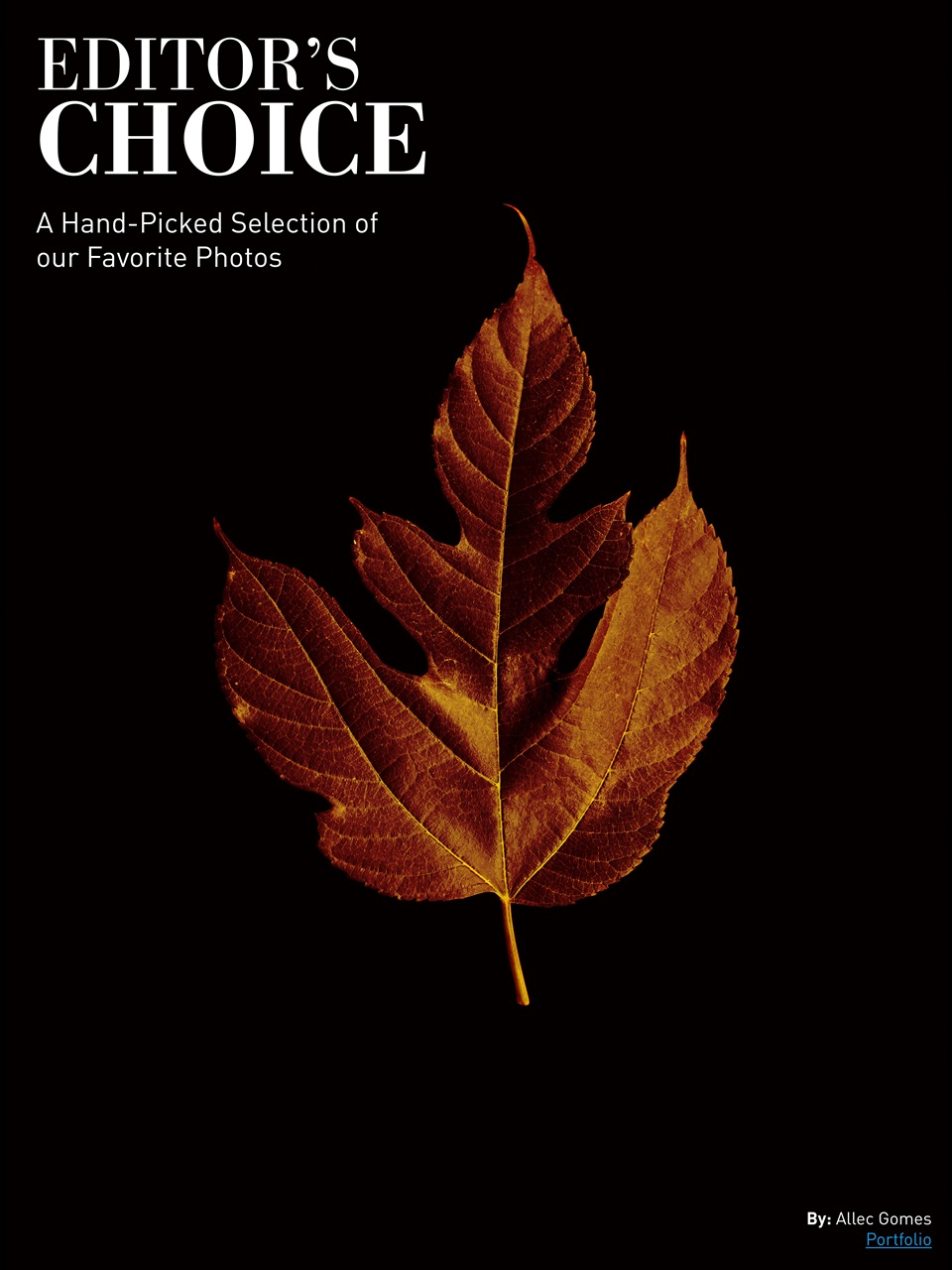 Photography Masterclass Magazine Preview Pages