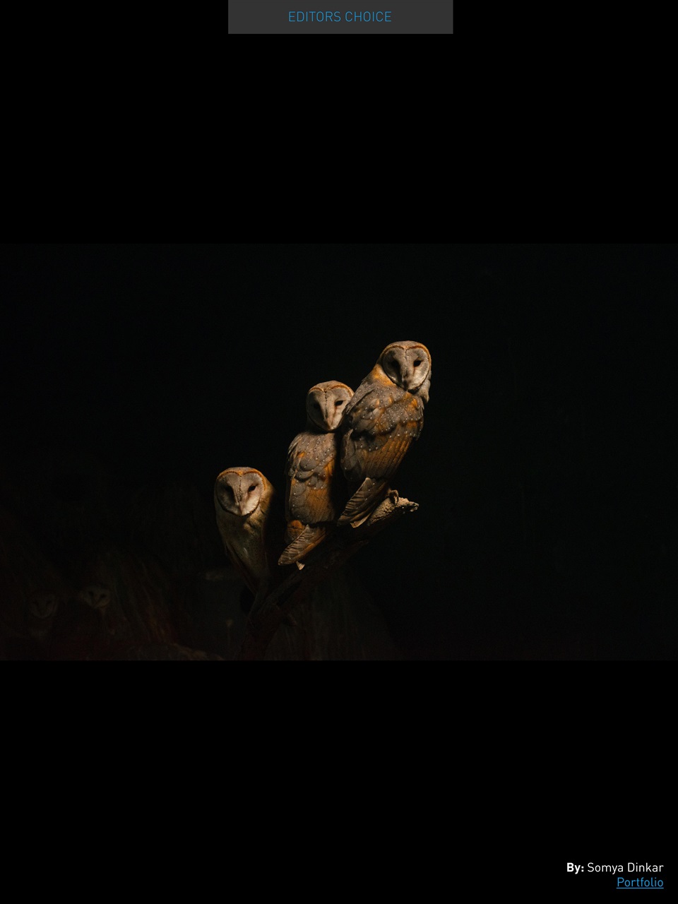 Photography Masterclass Magazine Preview Pages