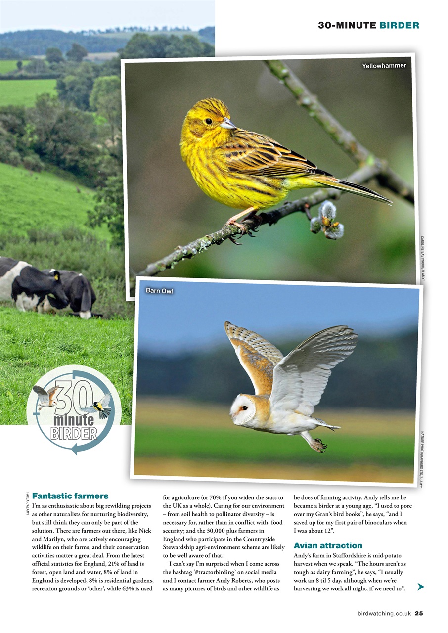 Bird Watching Preview Pages