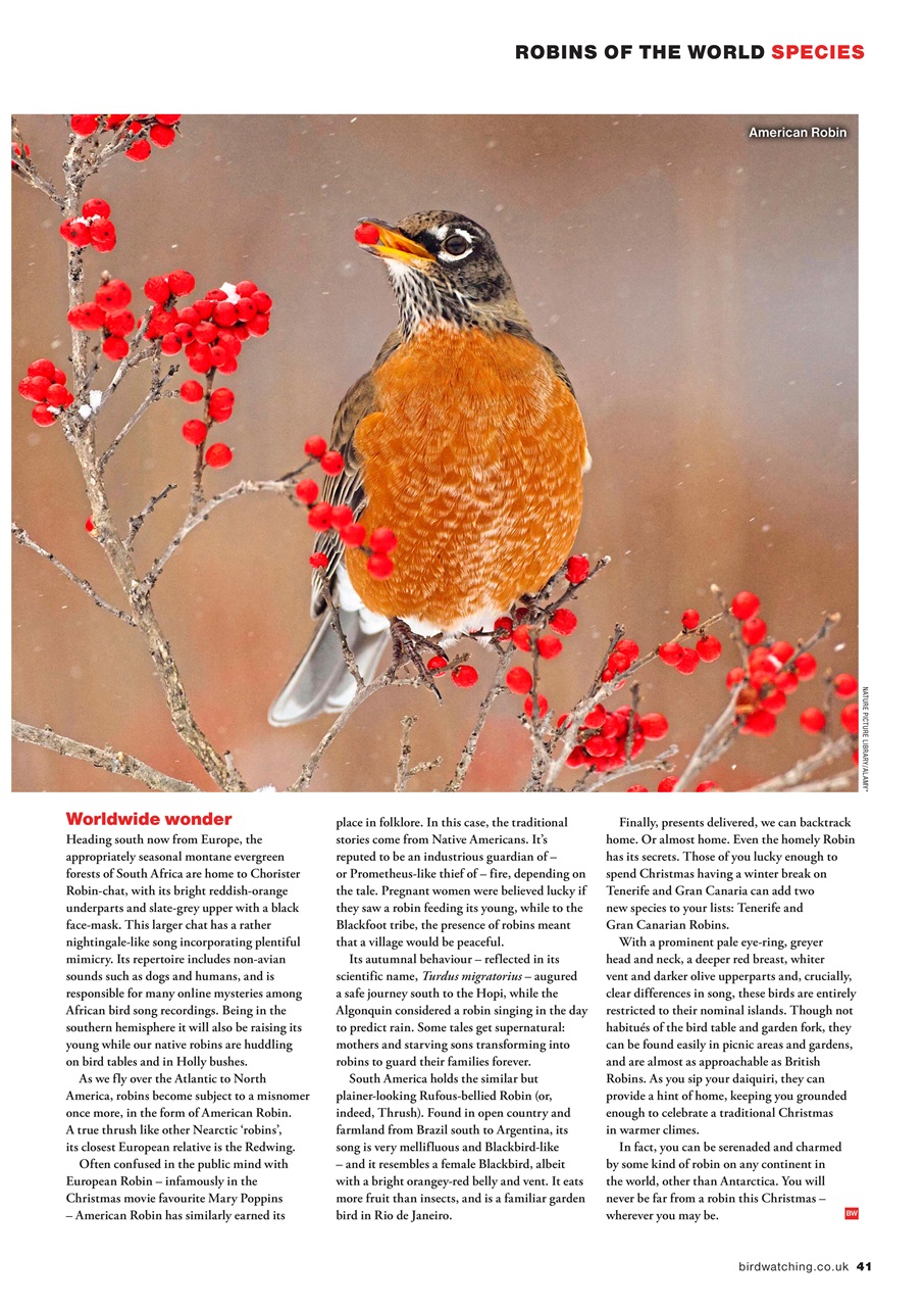 Bird Watching Preview Pages