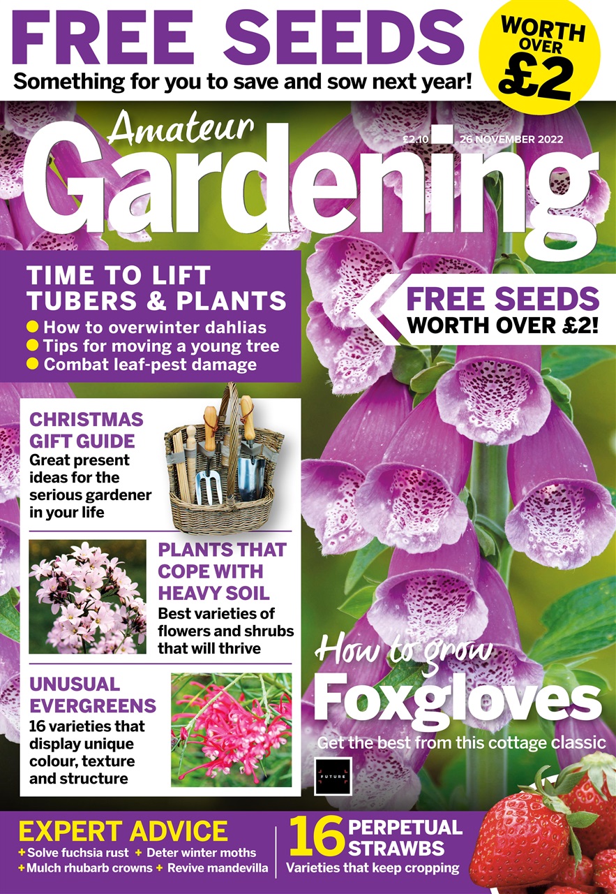 Amateur Gardening Preview Pages