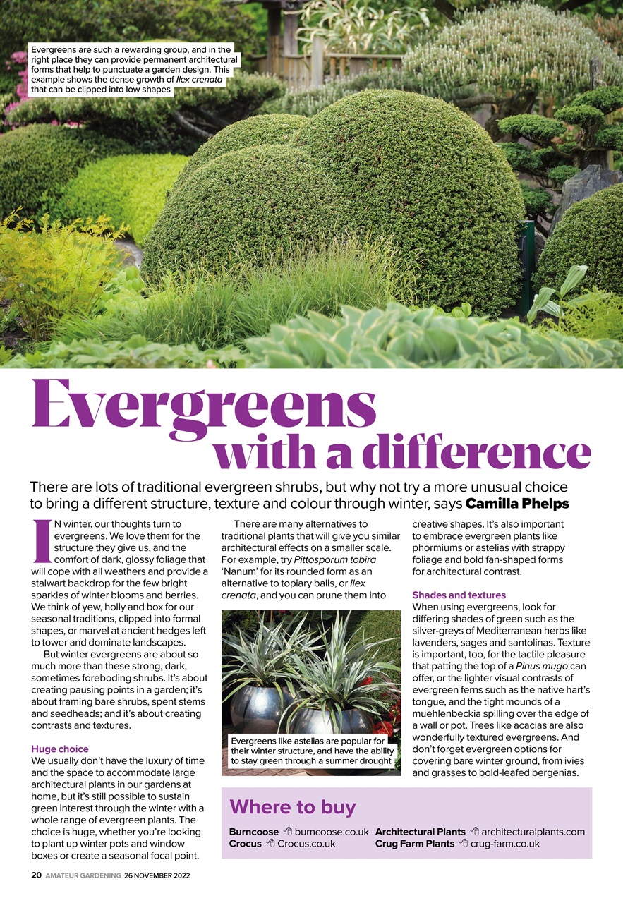 Amateur Gardening Preview Pages