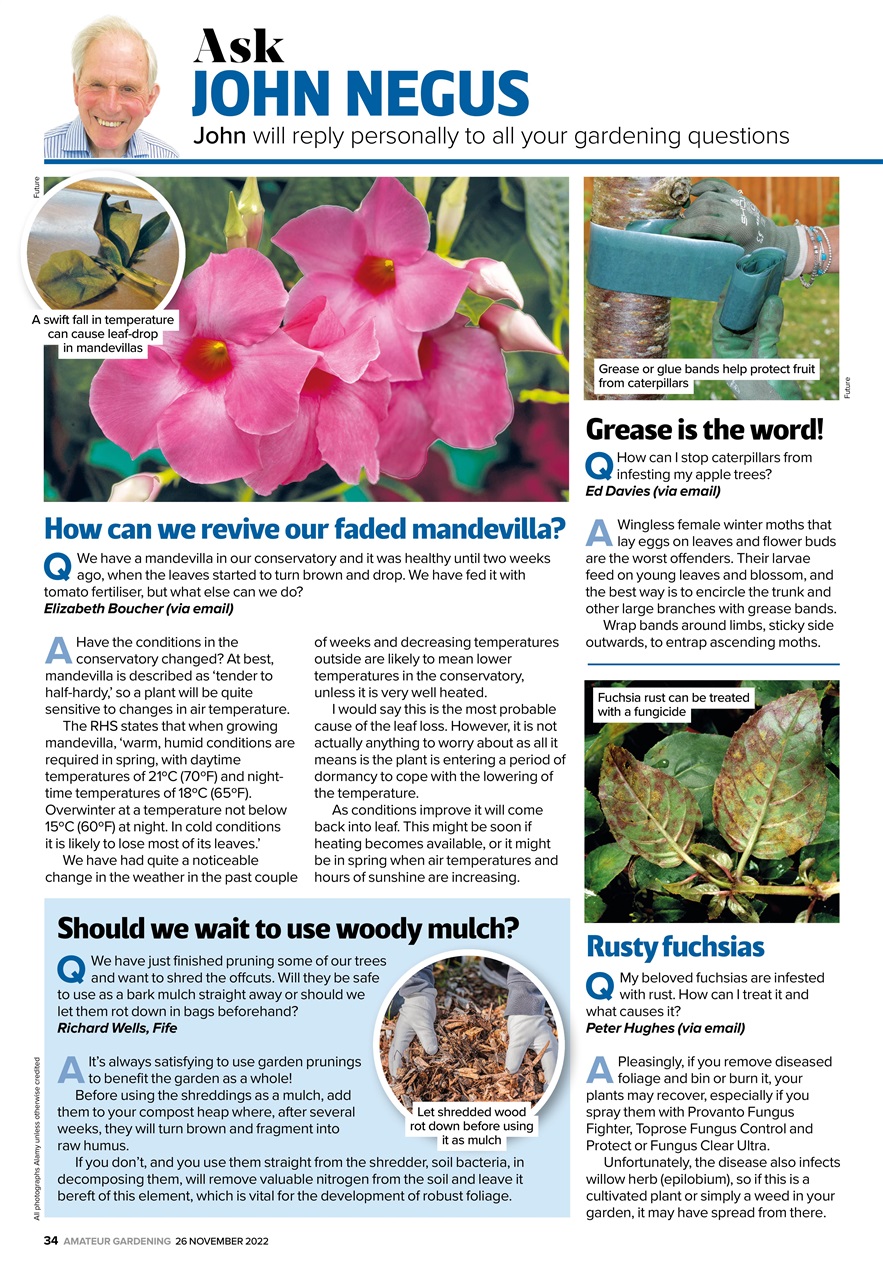 Amateur Gardening Preview Pages