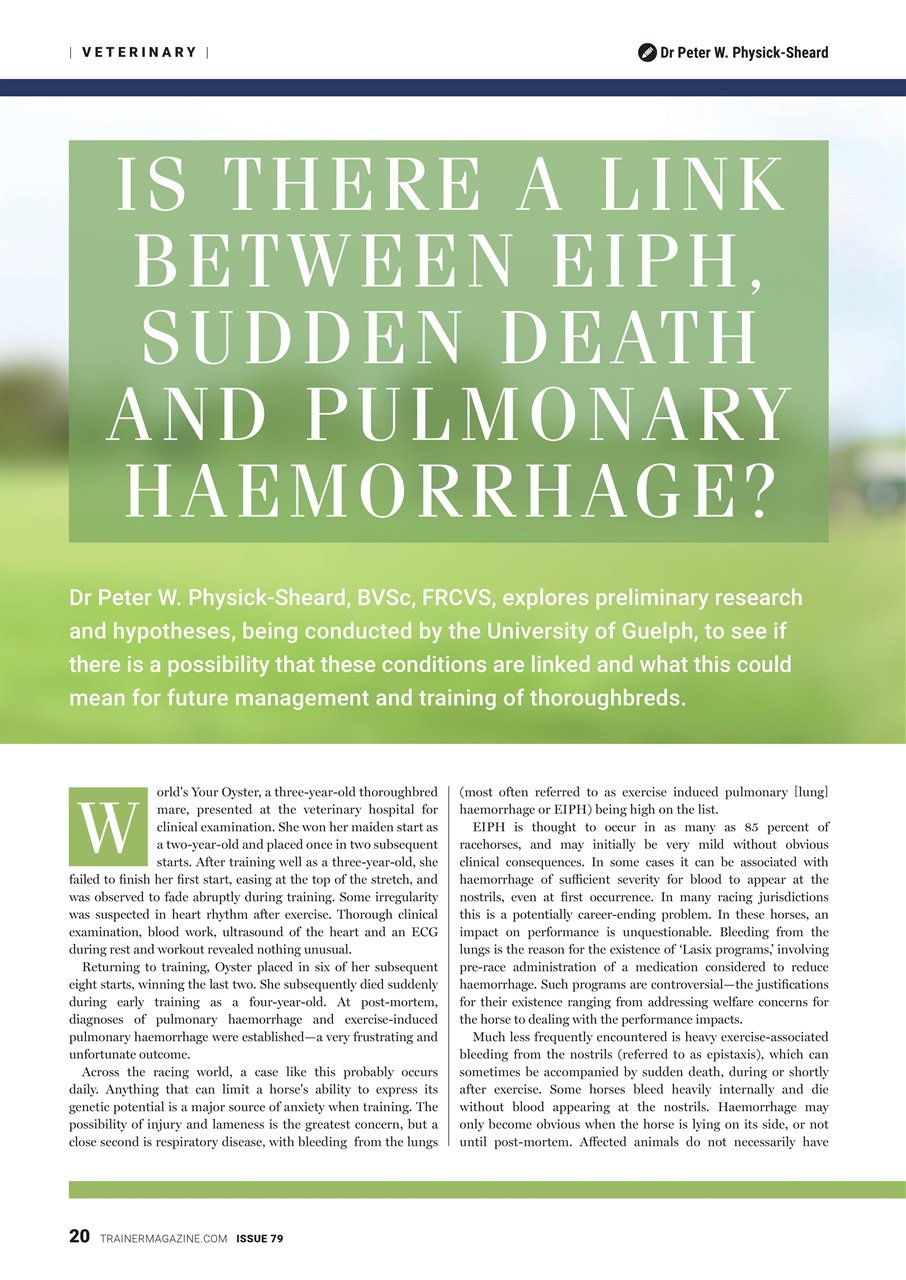 European Trainer Magazine - horse racing Preview Pages