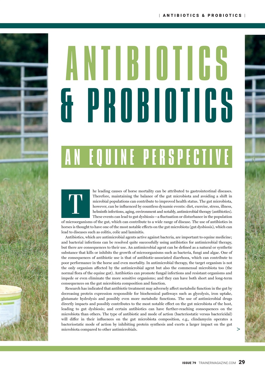 European Trainer Magazine - horse racing Preview Pages