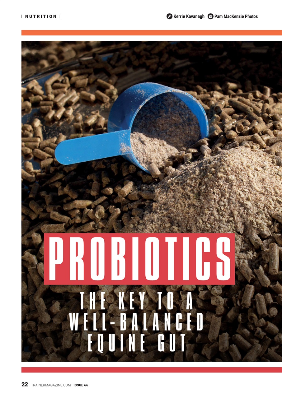 North American Trainer Magazine - horse racing Preview Pages