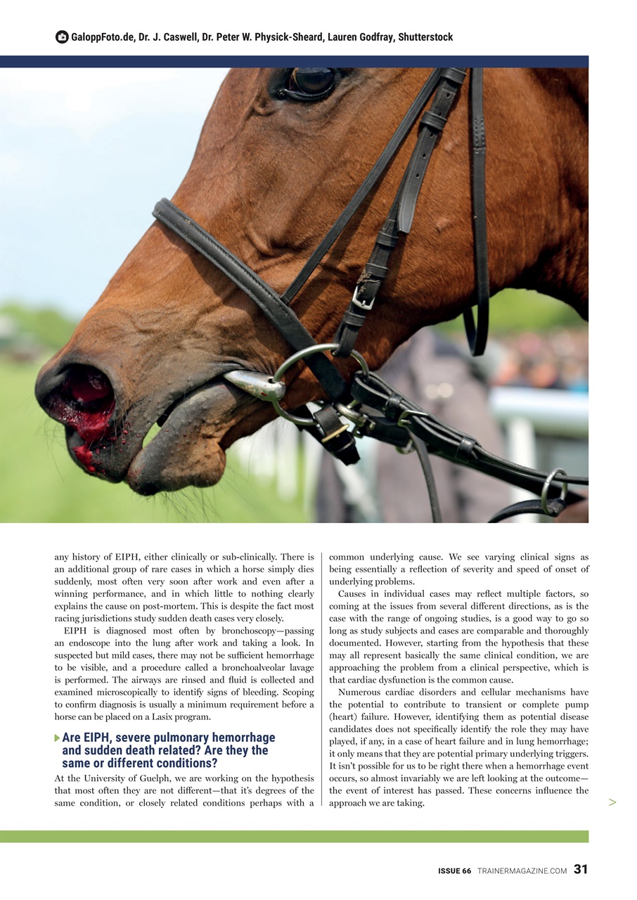 North American Trainer Magazine - horse racing Preview Pages