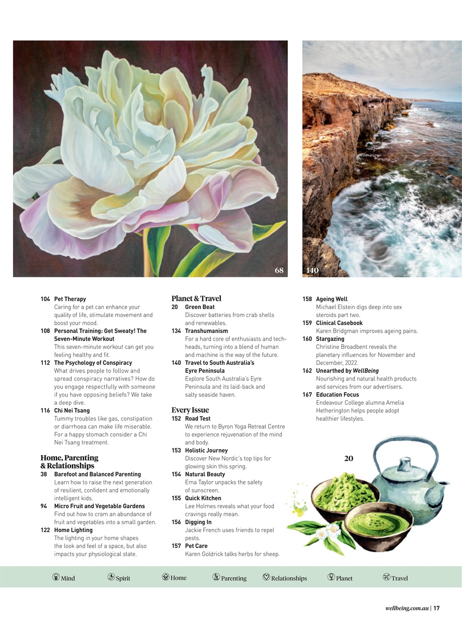 WellBeing Preview Pages