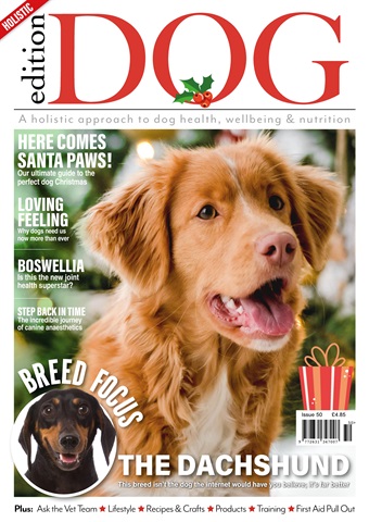 Edition Dog issue Edition Dog Issue 50