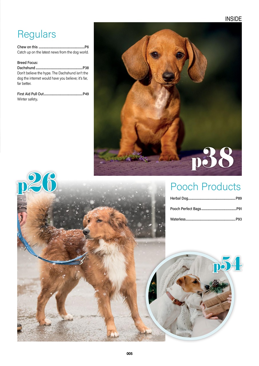 Edition Dog Preview Pages