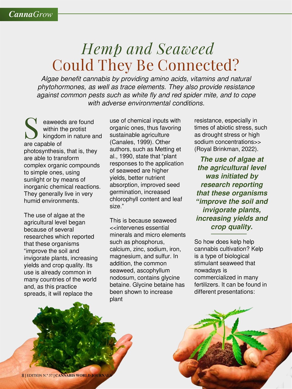 Cannabis World Journals Preview Pages