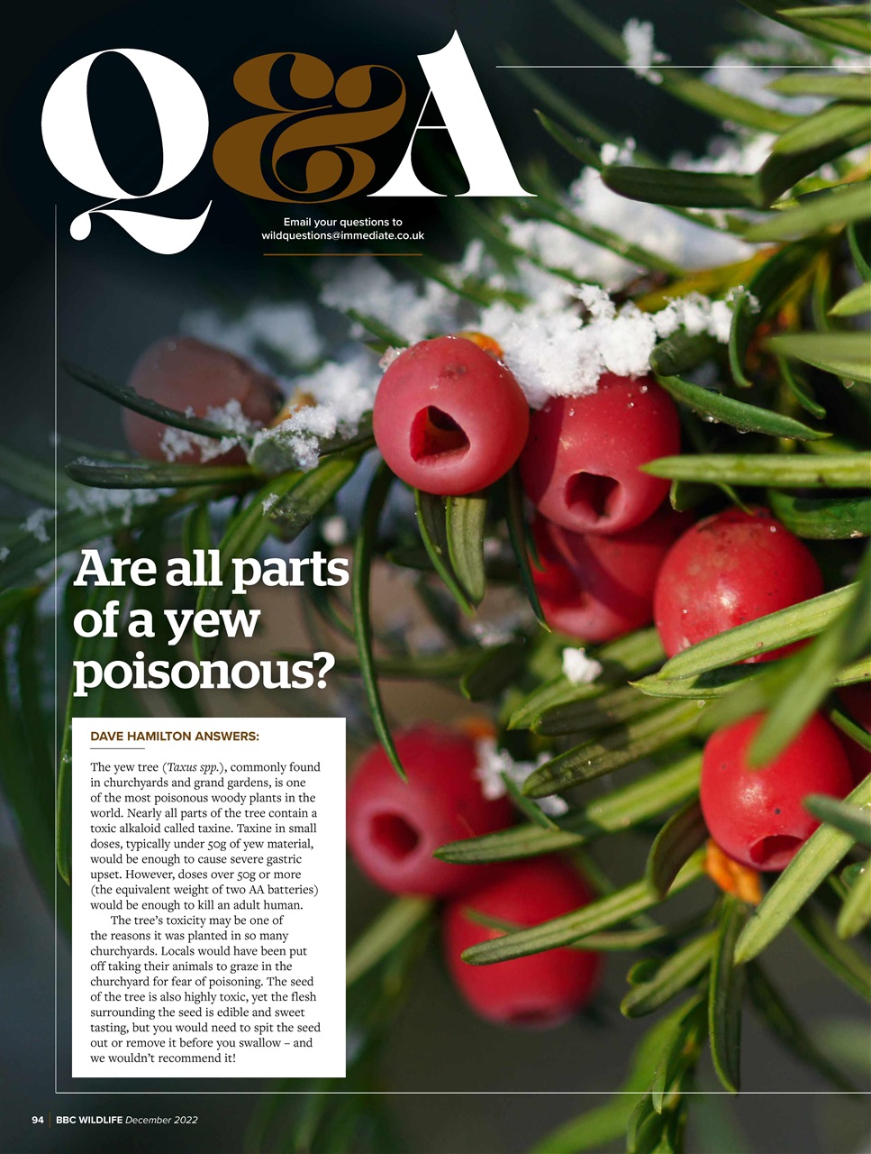 BBC Wildlife Magazine Preview Pages