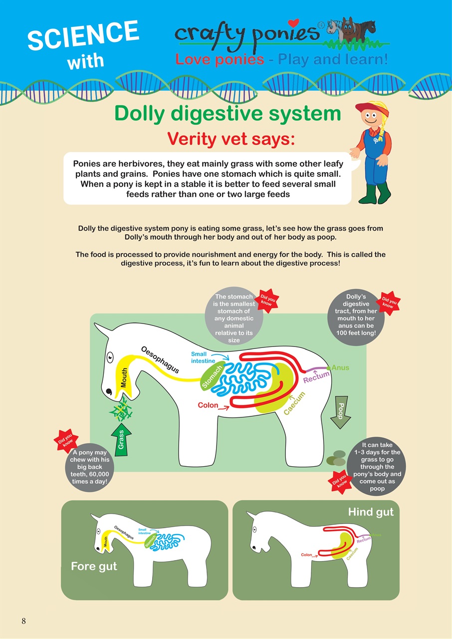 Boys Ride Too Preview Pages
