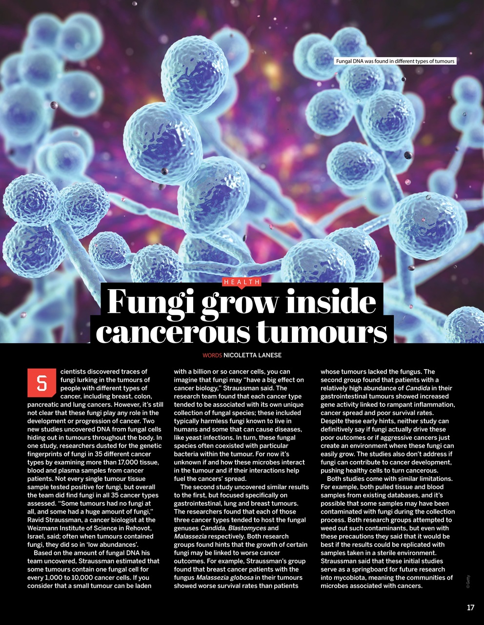 How It Works Preview Pages