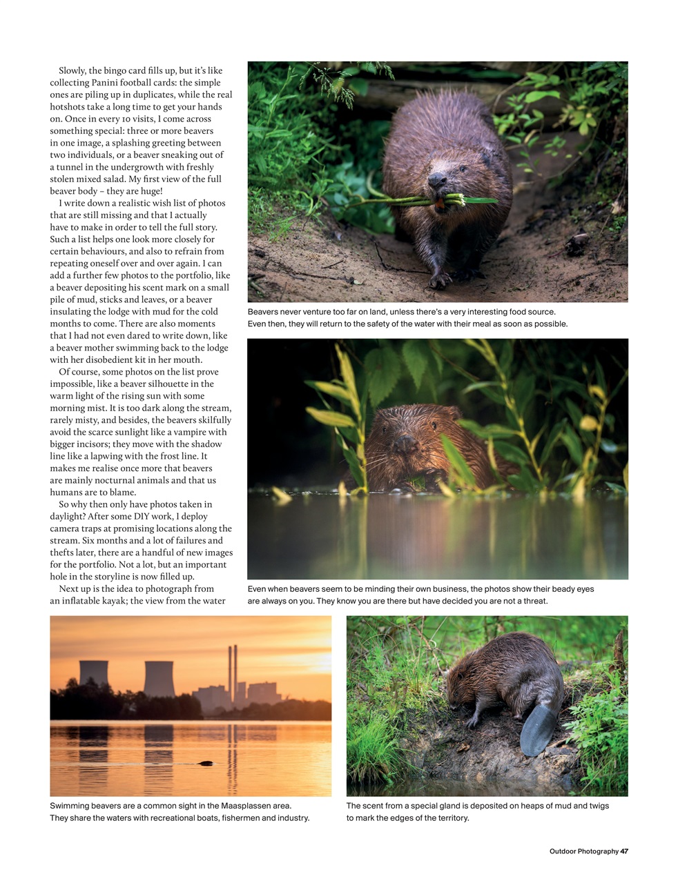 Outdoor Photography Preview Pages