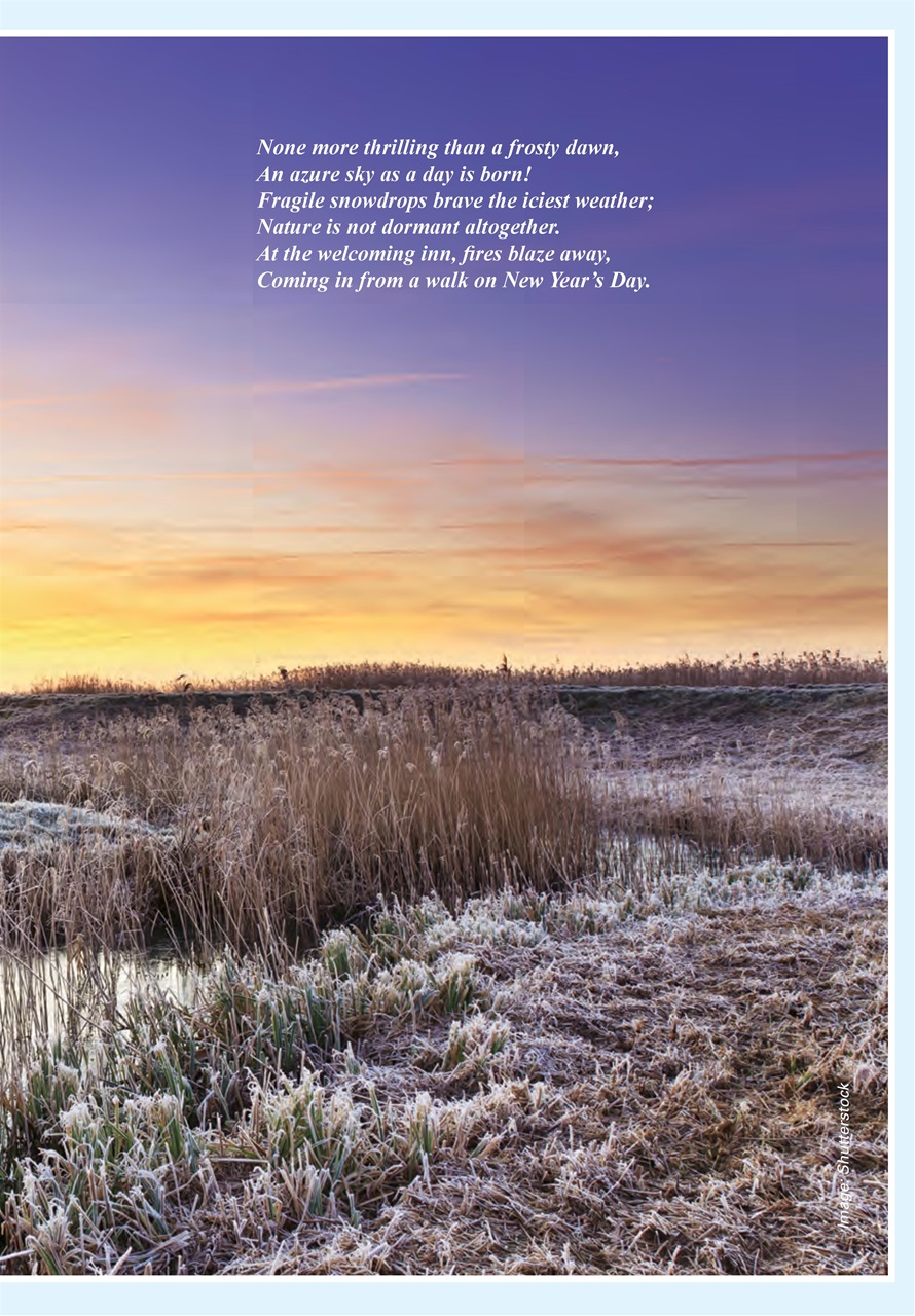 Evergreen Preview Pages