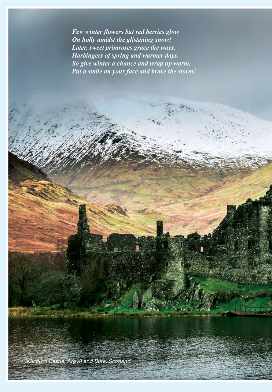 Evergreen Preview Pages