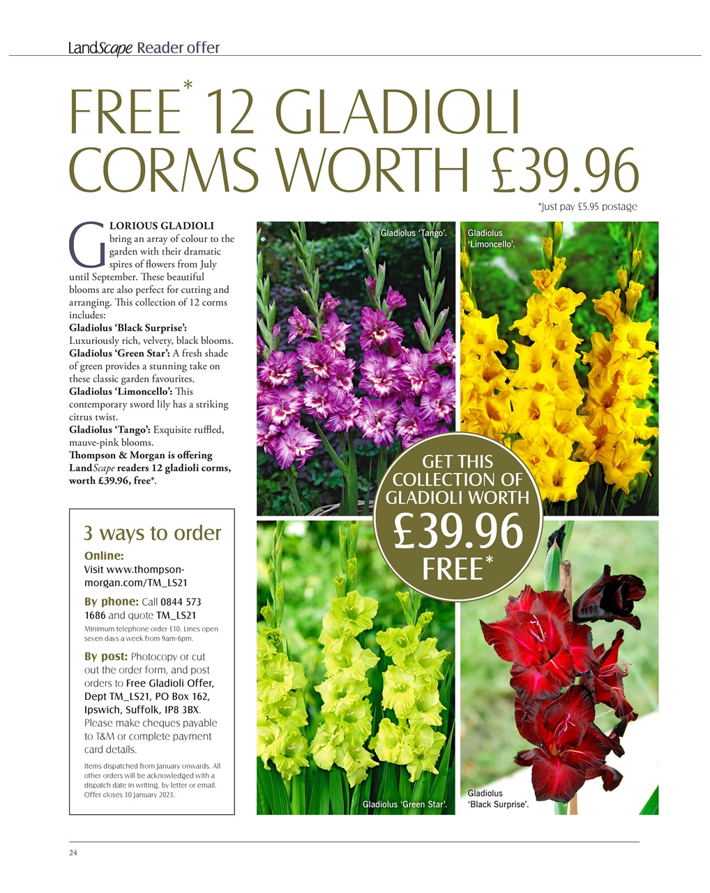 LandScape Preview Pages