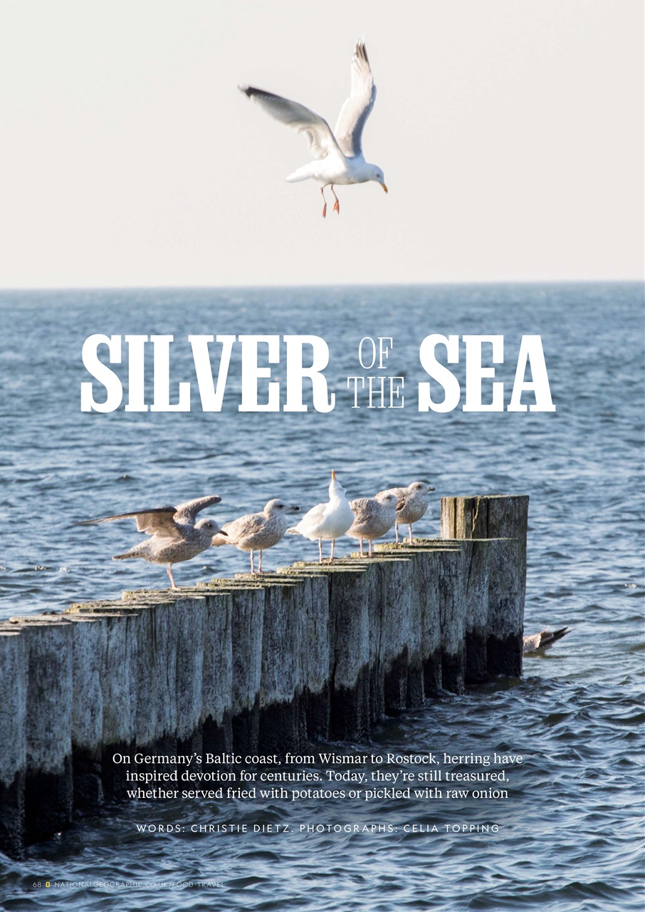 National Geographic Traveller Food Preview Pages